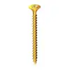 Reisser R2 Screws