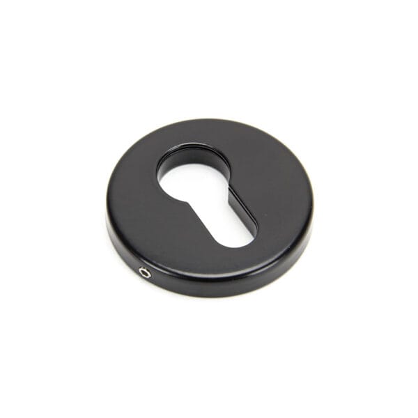 Black 52mm Concealed Escutcheon