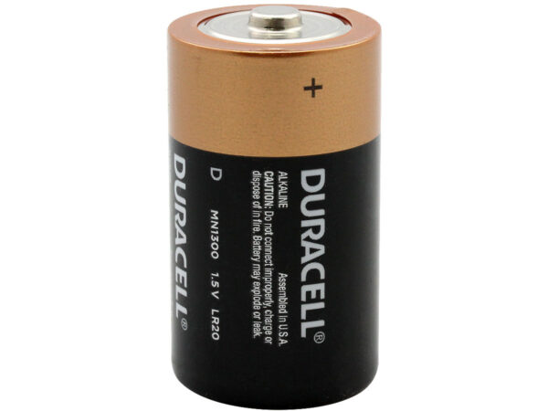 D Duracell Batteries 2pk