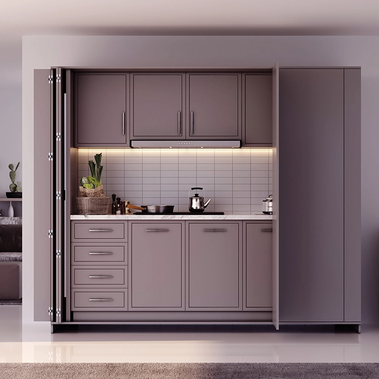 Advantages of pivot door systems image