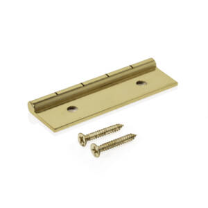 Polished Brass