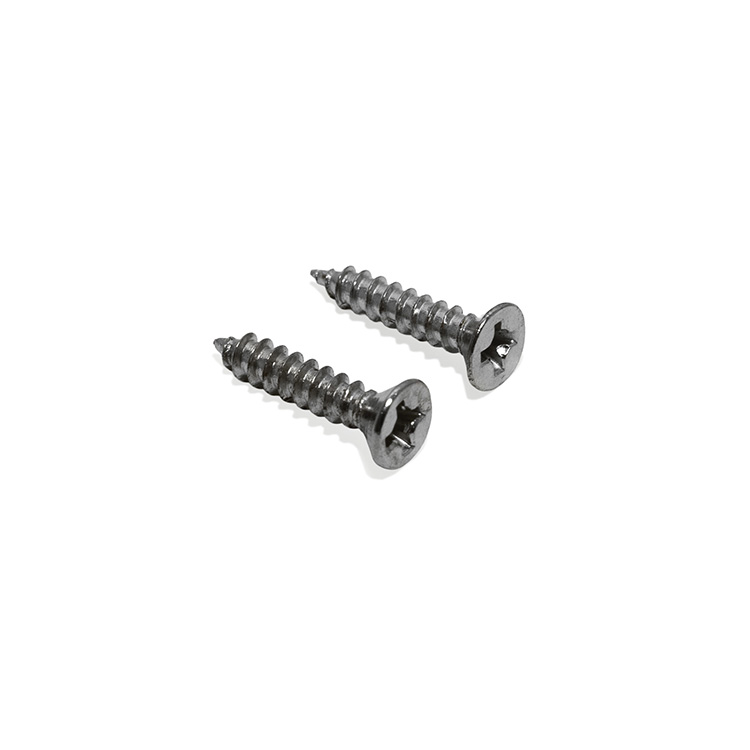 Chrome Magnet Screws
