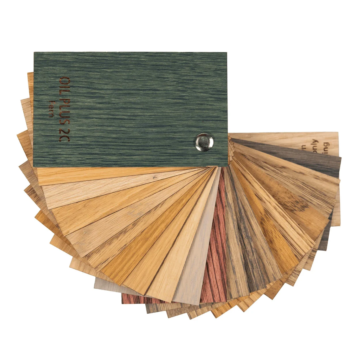 Rubio Colour Fan Reverse Side